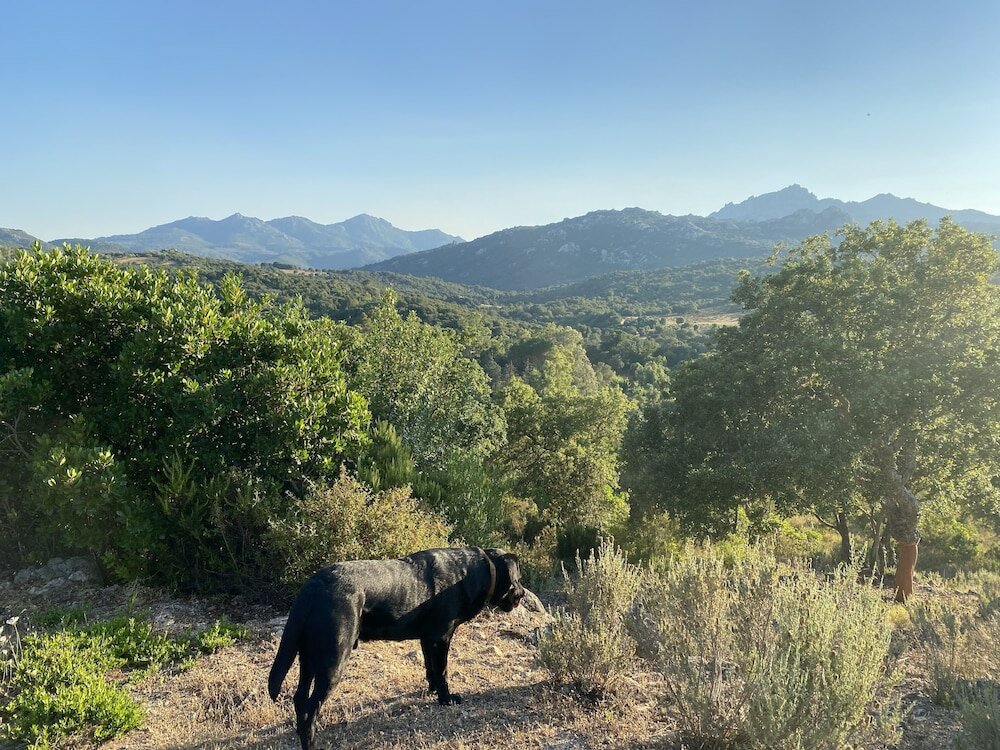 Фото Li Paduleddi Country Guest House