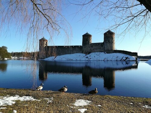 Гостиница Savonlinna Rentals в Савонлинна