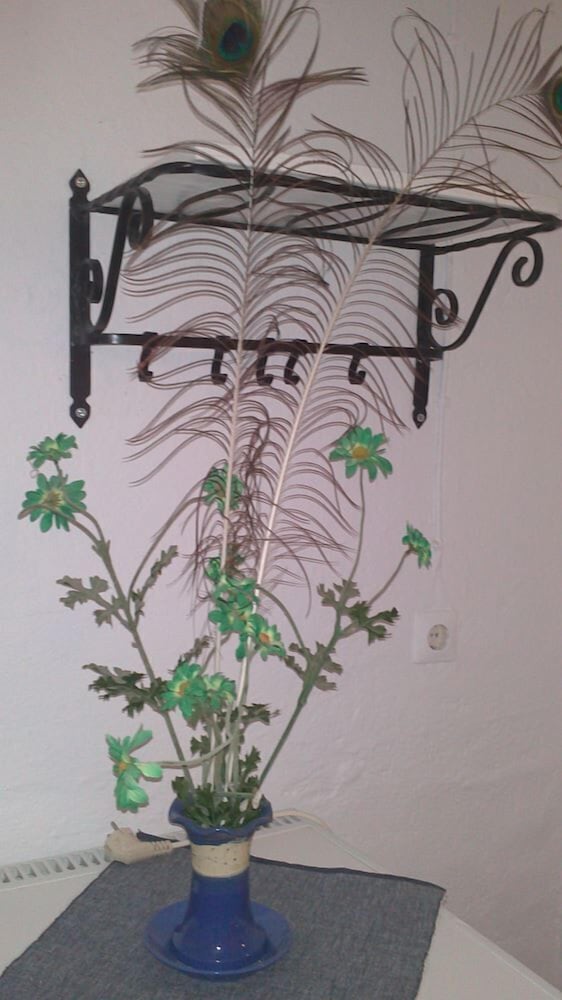 Фото Anastasia's Garden