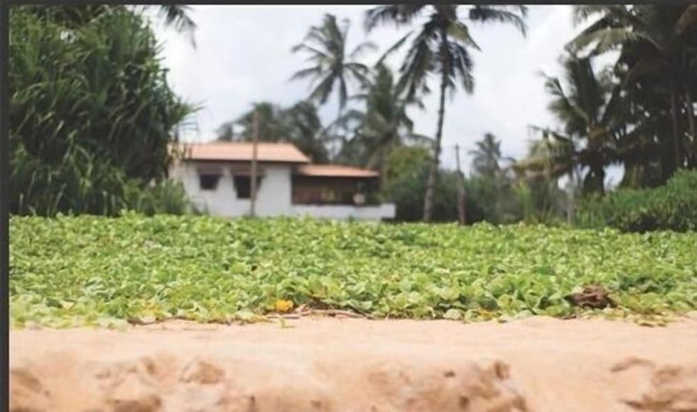 Фото Whispering Ocean