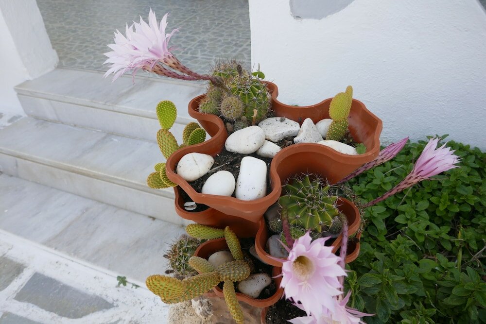 Фото Stavros Studios