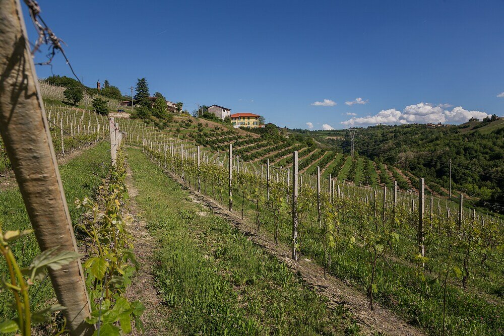 Фото Agriostello delle Langhe