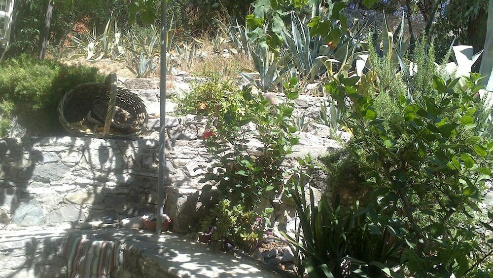 Фото Anastasia's Garden