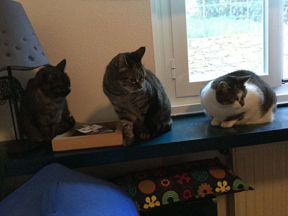 Фото B&b Le Piote