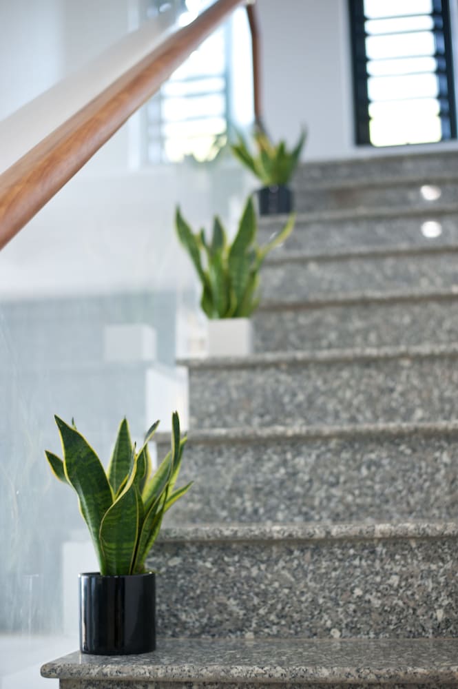 Фото Hue Sweethouse 2 Homestay