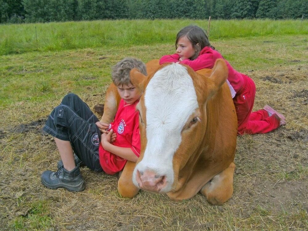 Фото Pension Reindlhöh