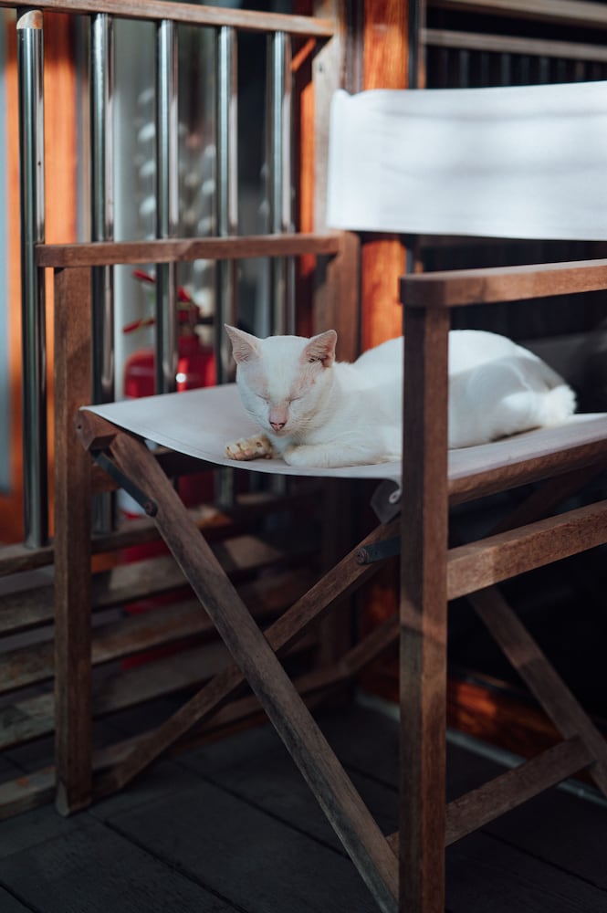 Фото Chan's Smart Living Inn Semporna