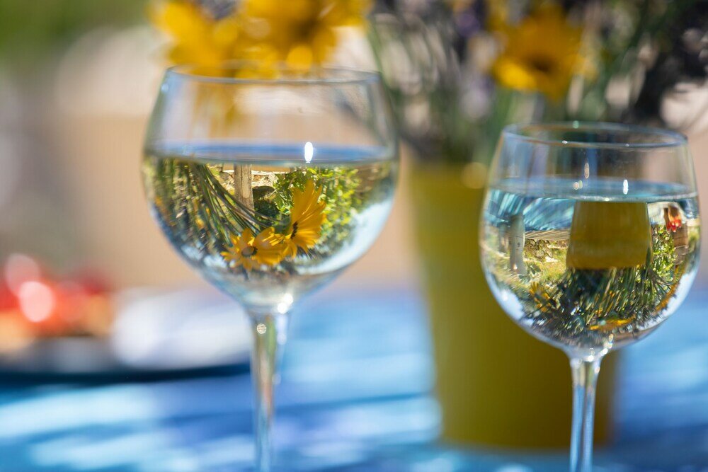 Фото Pajara Rugiada