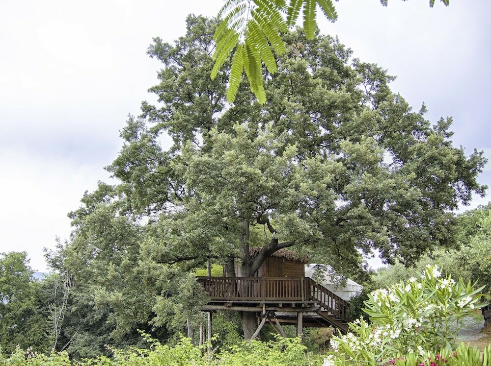 Фото Agriturismo Fattoria La Prugnola