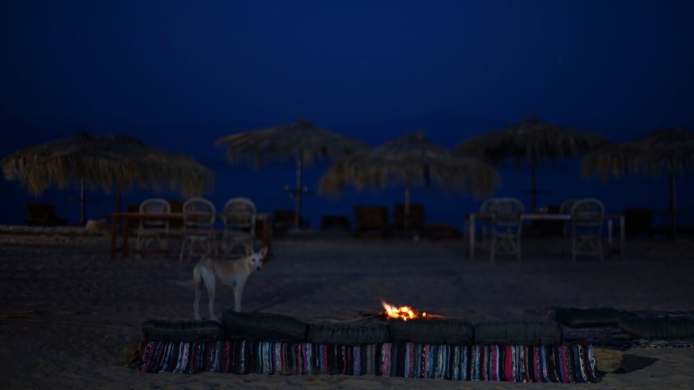 Фото Nuweiba Lodge