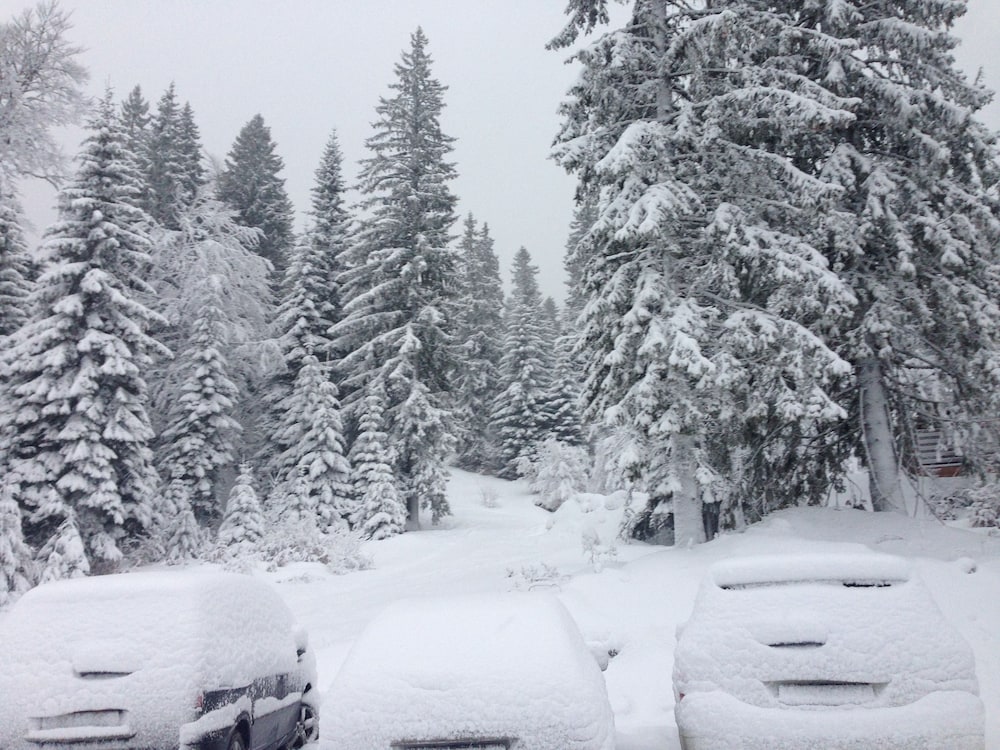 Фото Villa Deja Jahorina