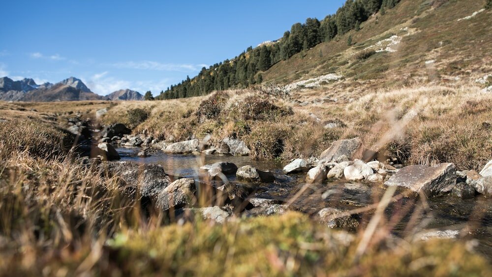 Фото Hotel Jagdschloss Resort