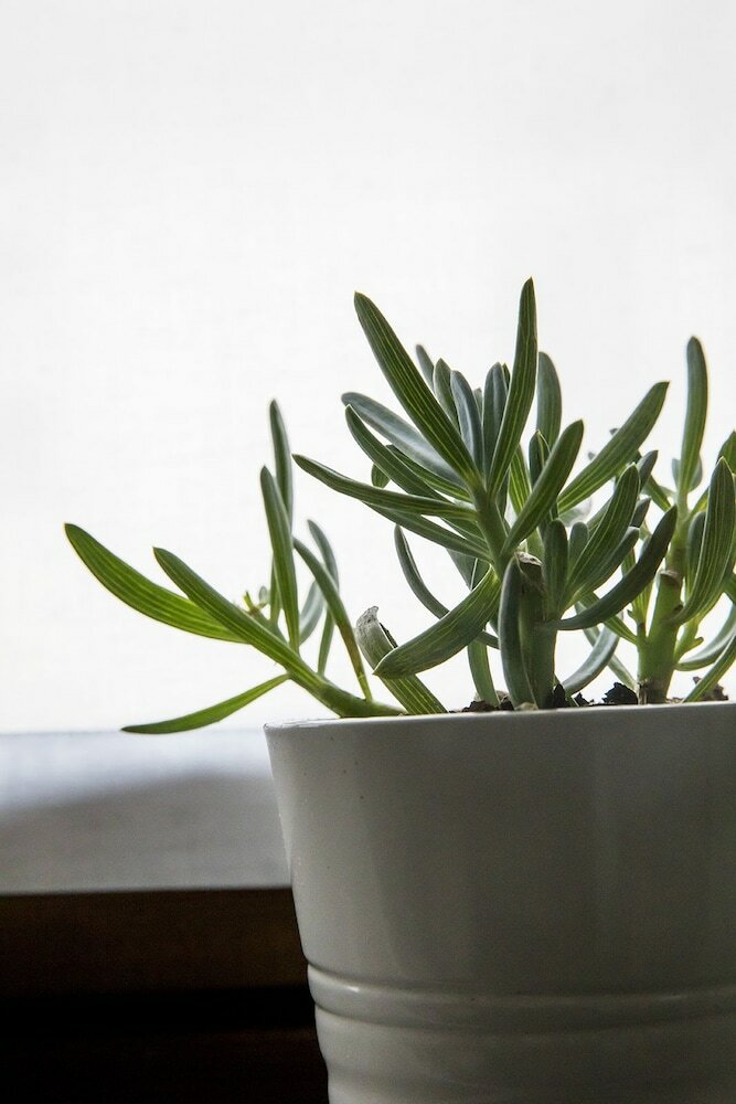 Фото Residenza del Borgo