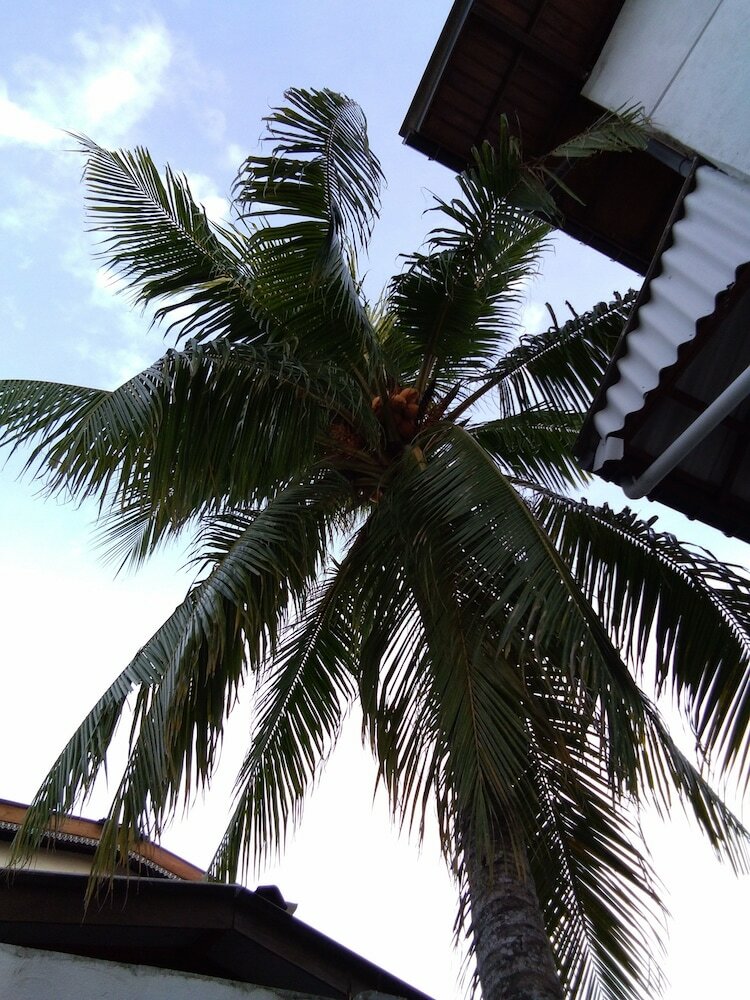 Фото Villa Subuthi