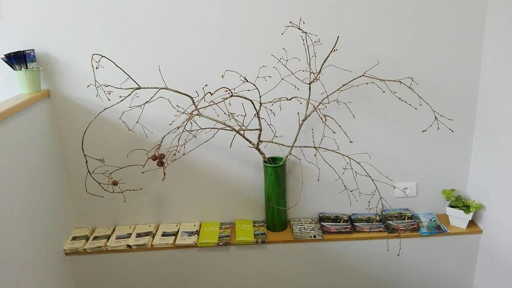 Фото Albergue Buen Camino Tui