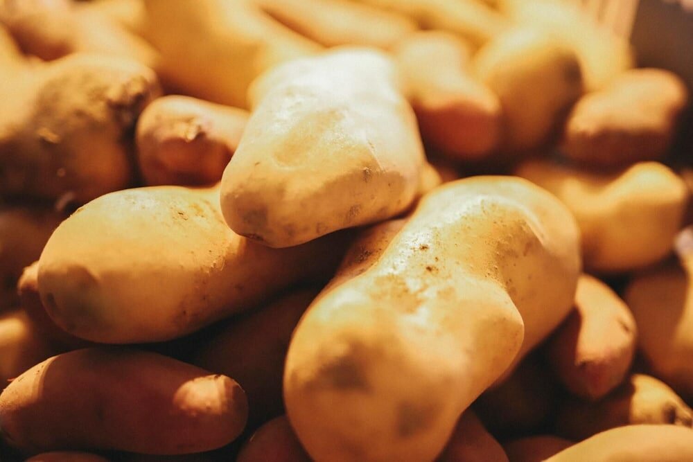 Фото Kushiro Guesthouse Cook A Doodle Doo - Hostel