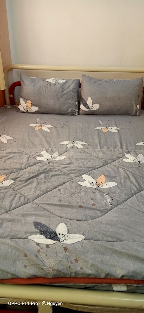 Фото Color Hostel