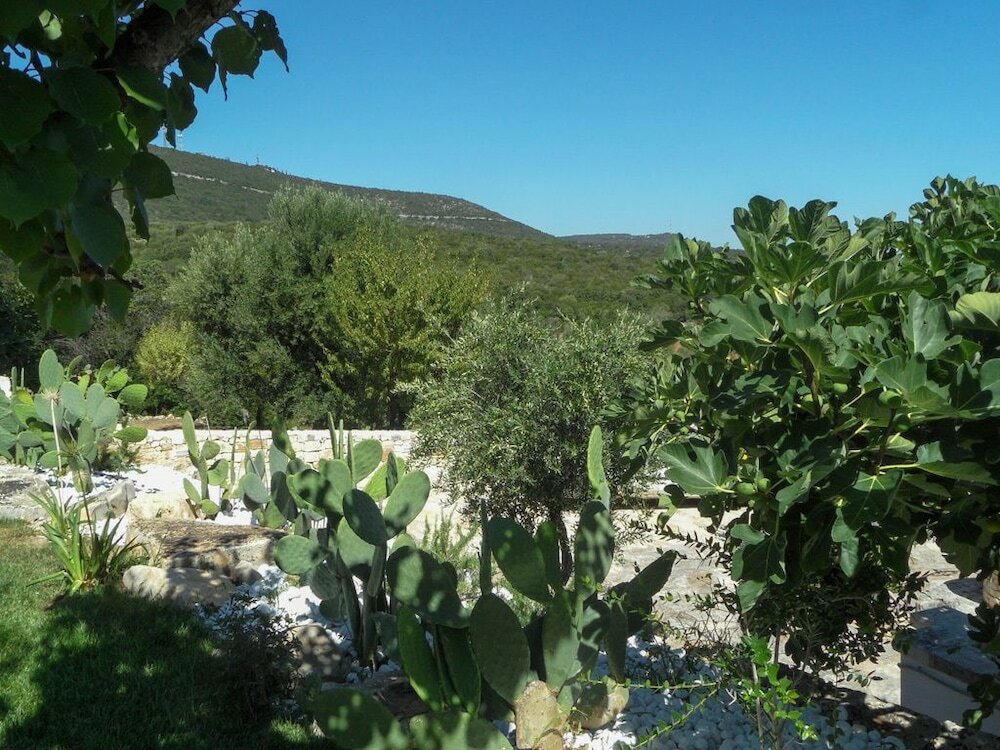 Фото Trulli della Contessa