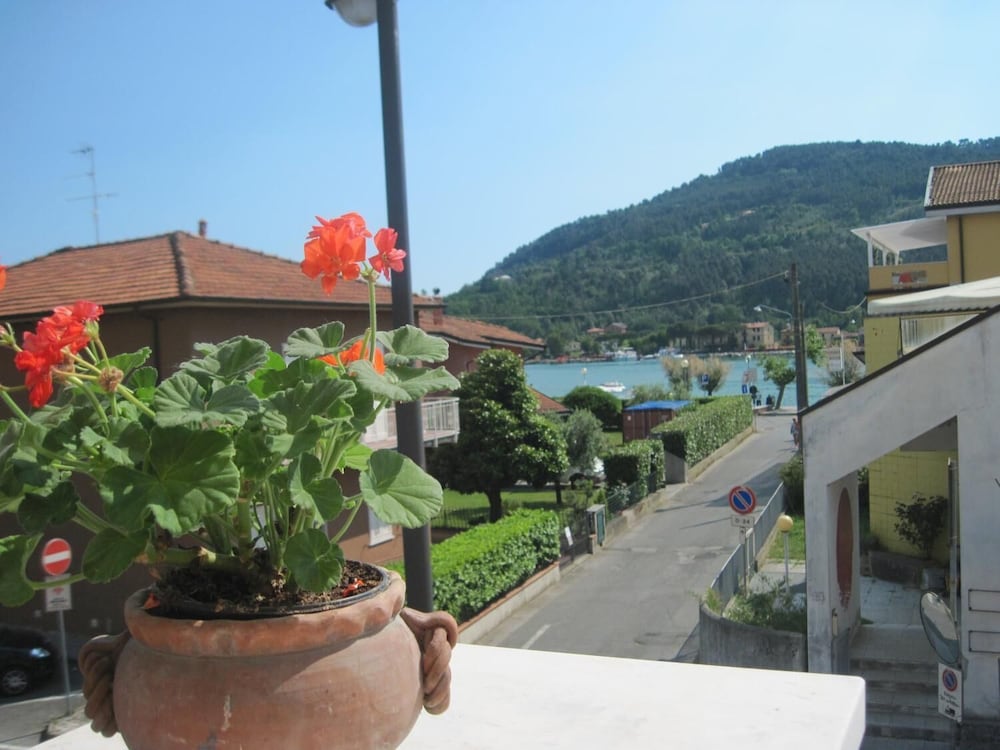 Фото Residence Pax