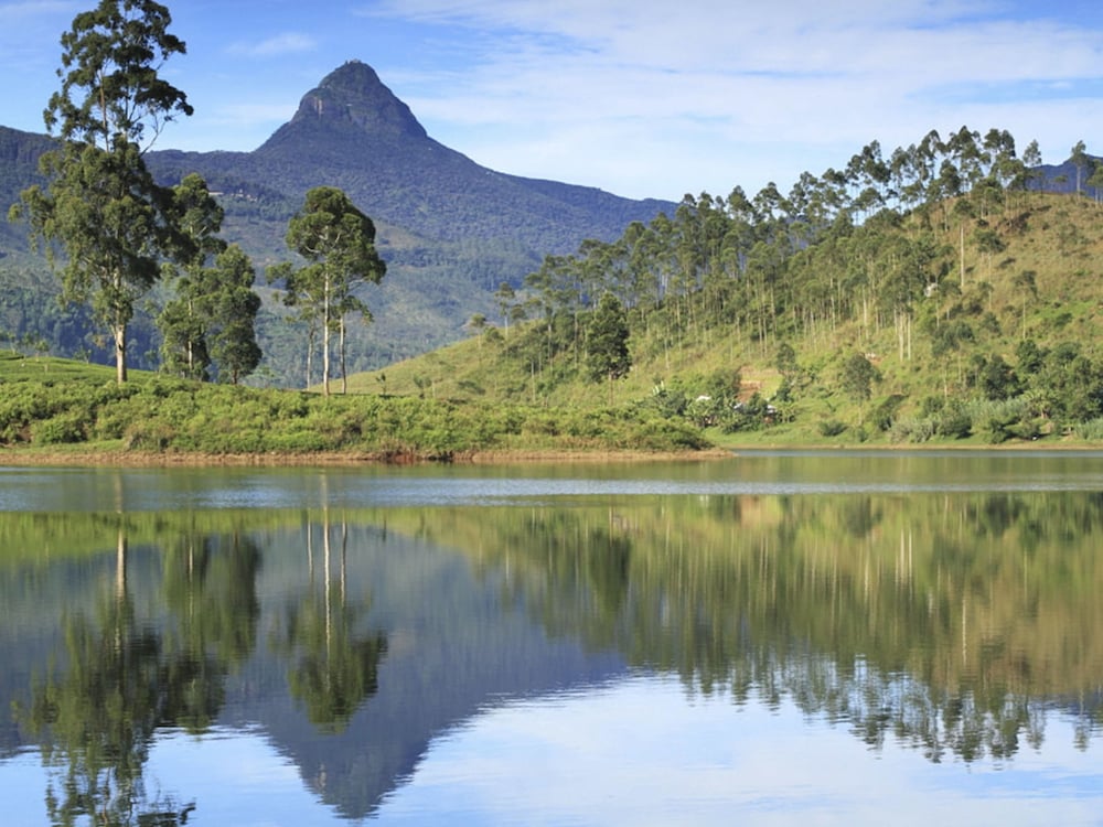 Фото Heaven Hills Guest House