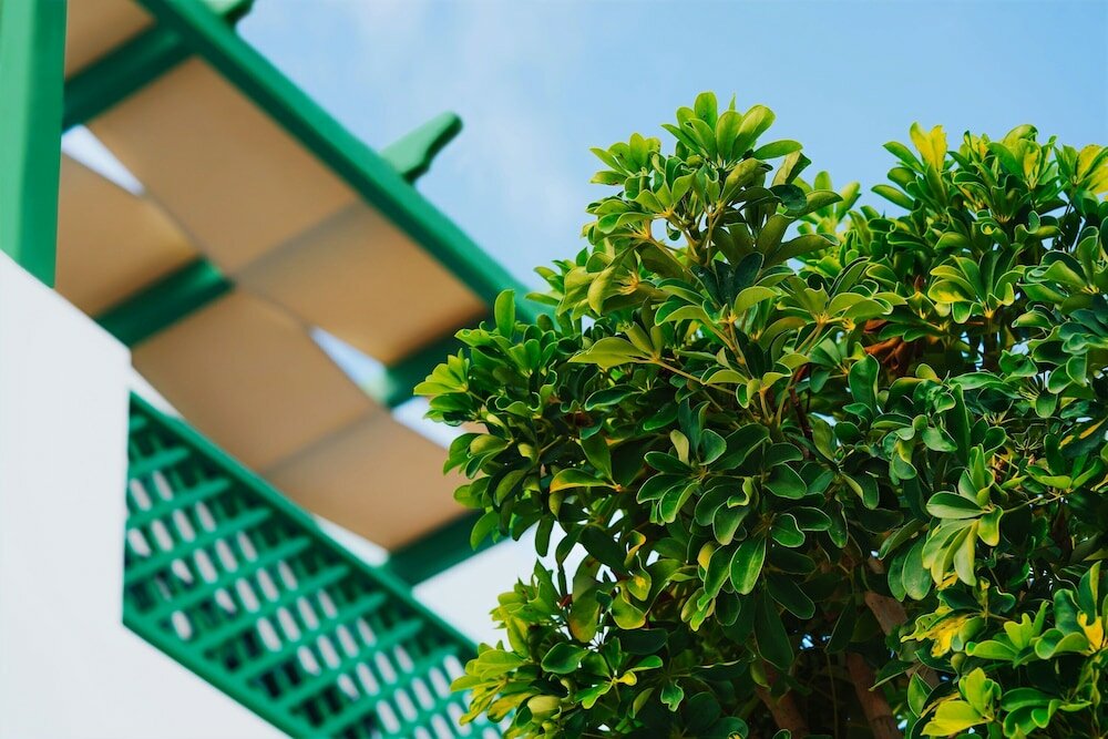 Фото Aelia Apartments & Suites