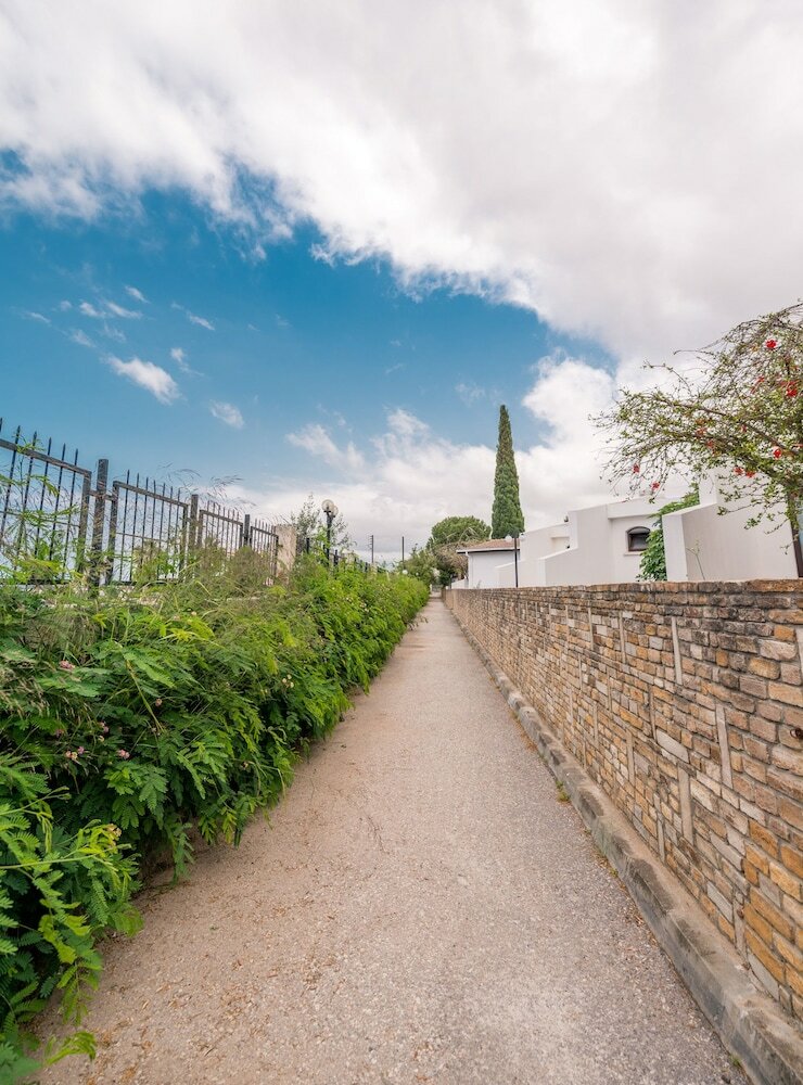 Фото The Olive Tree Hotel