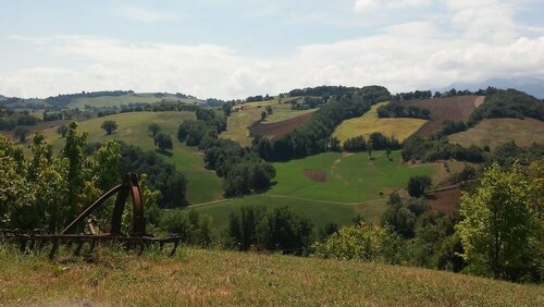 Гостиница Agriturismo Al Respiro Nel Bosco