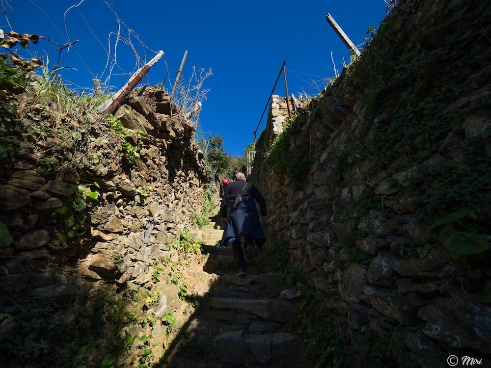 Фото El Nin Apartment With Terrace