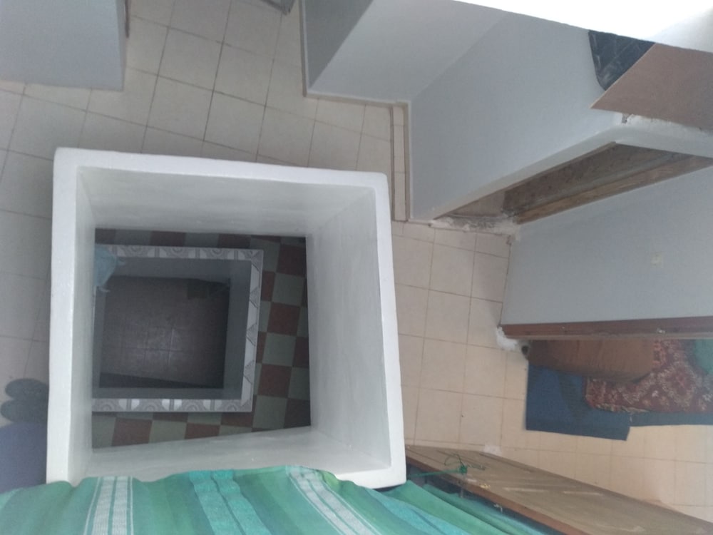 Фото Seagulls Hostel