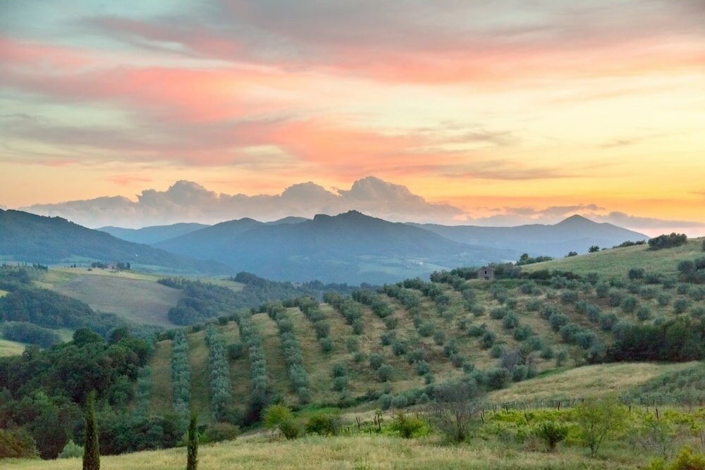 Фото Agriturismo San Tommaso