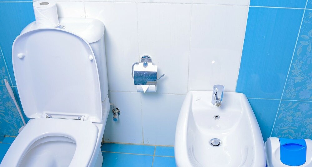 Фото White Horse Inn