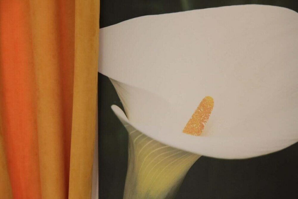 Фото Aurelia Rooms