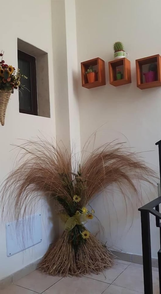 Фото B&b La Cornucopia