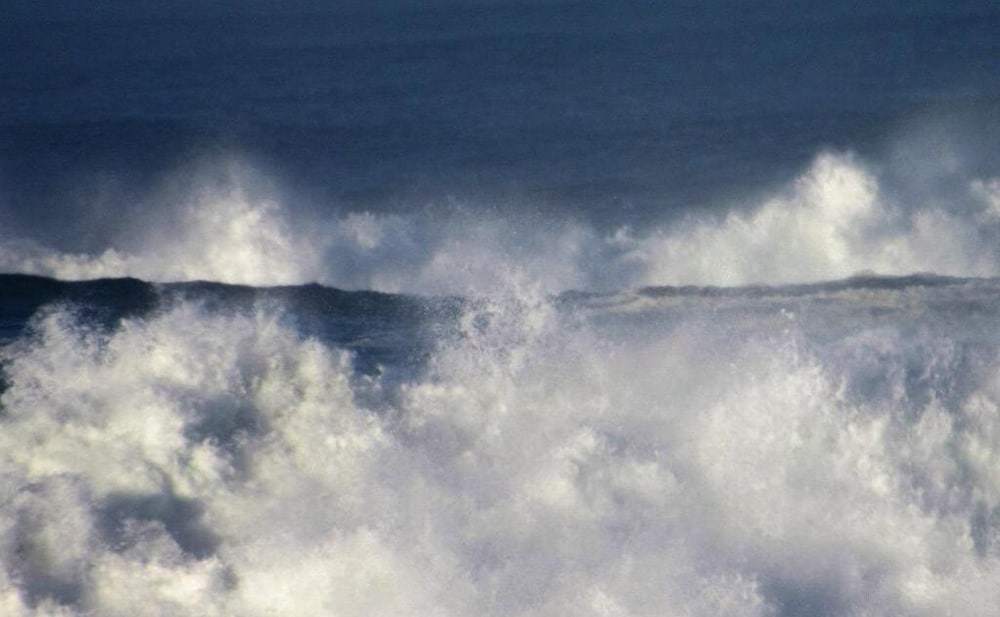 Фото The Waldport Inn