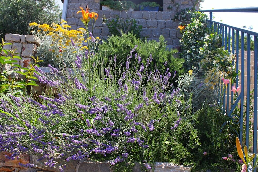 Фото Blue Mediterranean