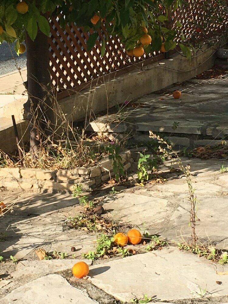 Фото Apartment in Kato Paphos