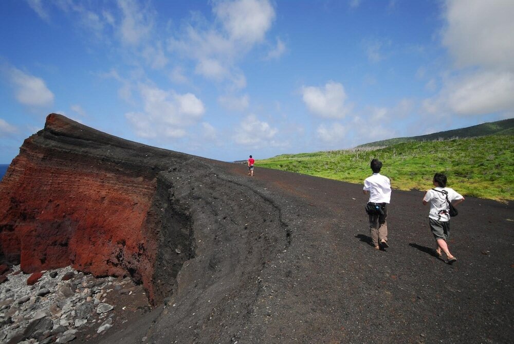 Фото Snapper inn