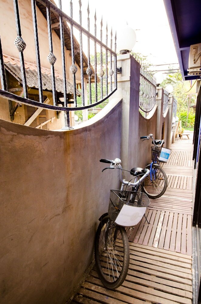 Фото Moonlight Champa