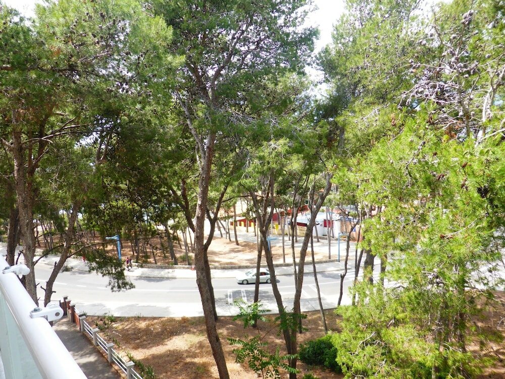 Фото Apartamento M&c del Bosc