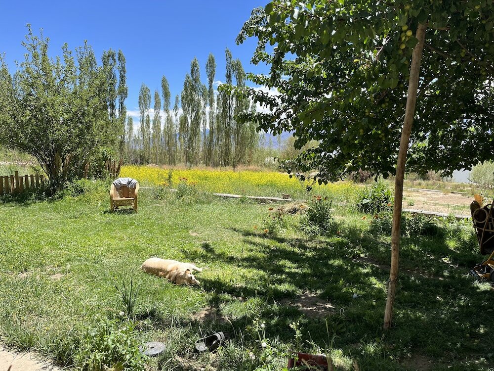 Фото Sangto Villa Resort