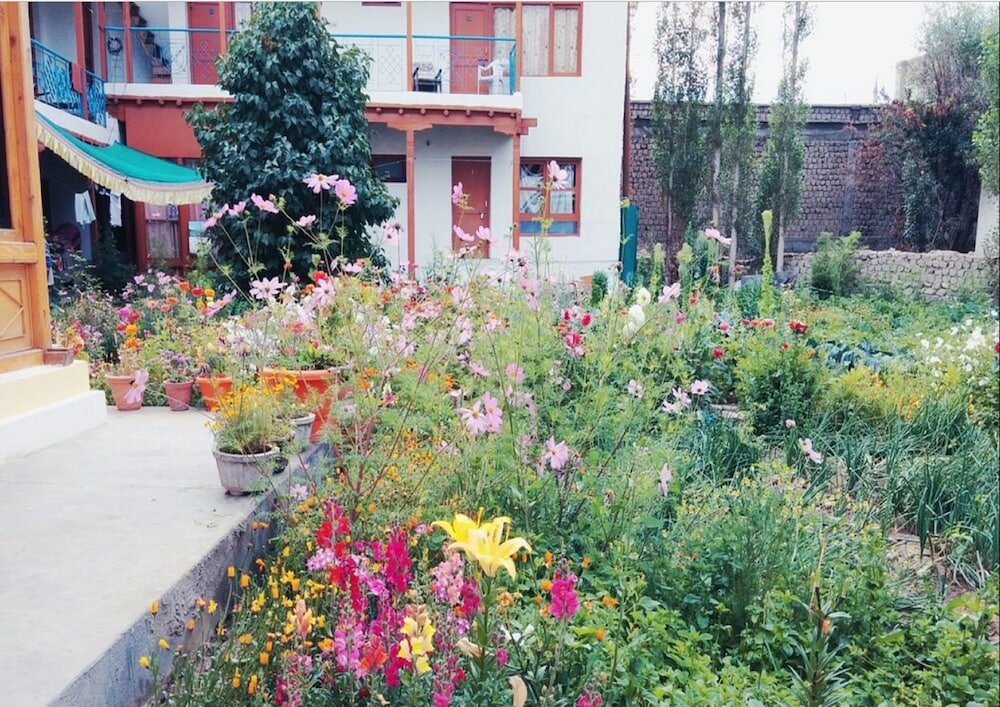 Фото Hotel Dolma Residency