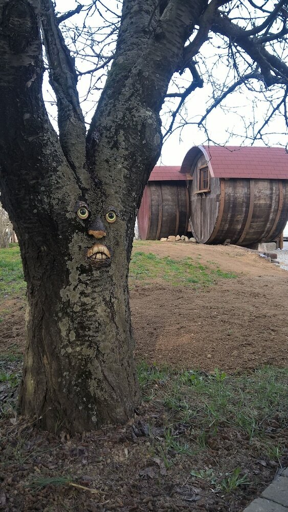 Фото B&b Pervinca