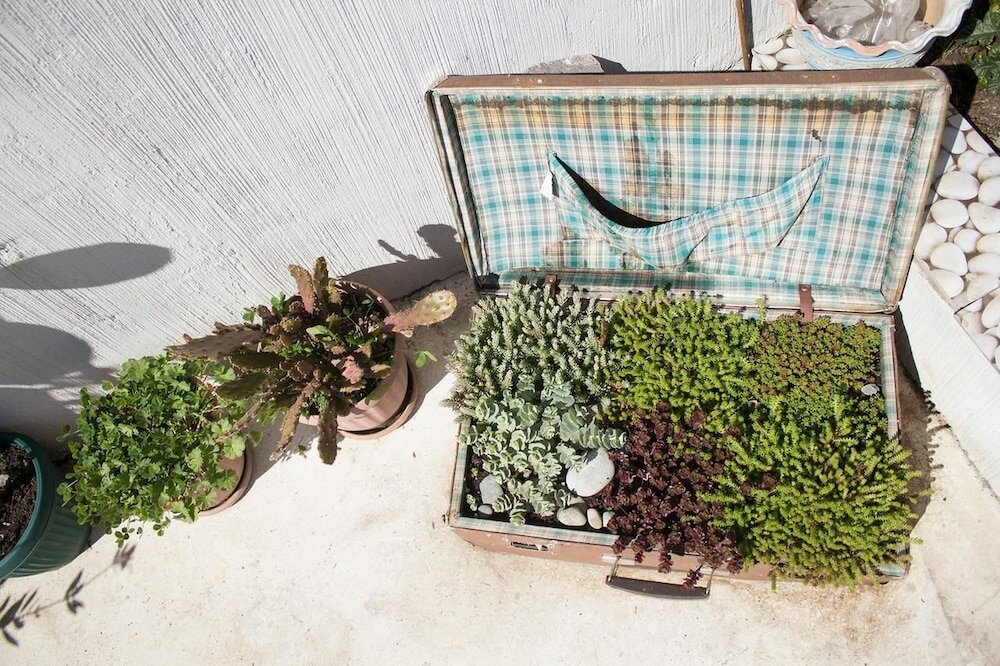 Фото Terrace Garden Hotel