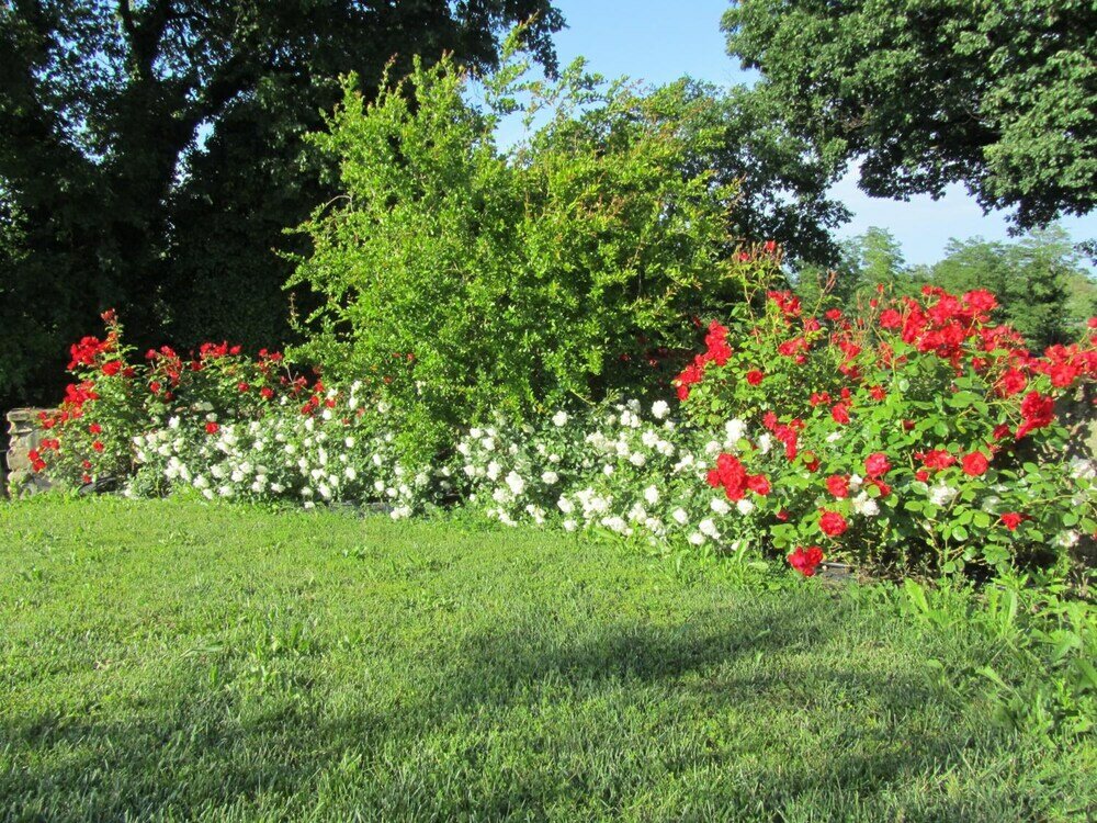 Фото Agriturismo La Vecchia Fonte