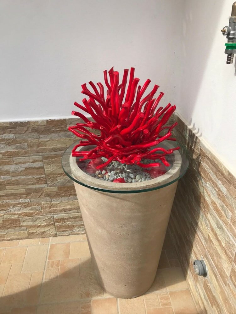 Фото B&b La Conchiglia