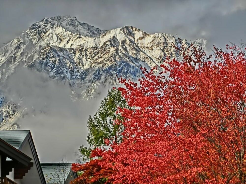 Фото White Horse Hotel