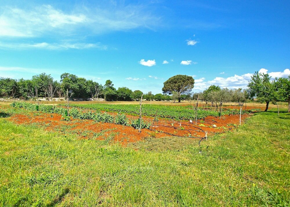 Фото Apartment Aleksander 968