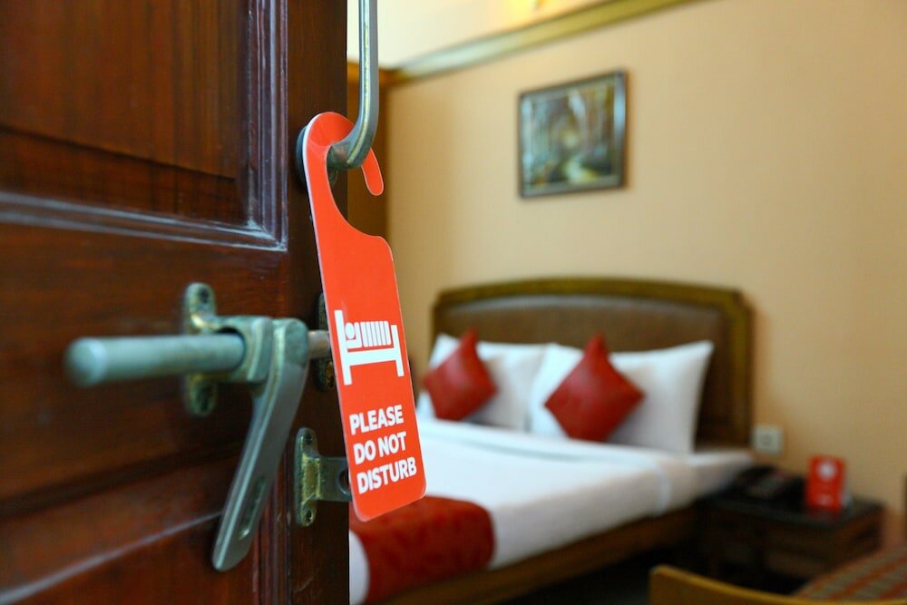 Фото Oyo 5208 The Park View Inn