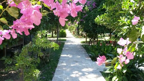 Гостиница Hotel Yavuz Bungalow в Кемере