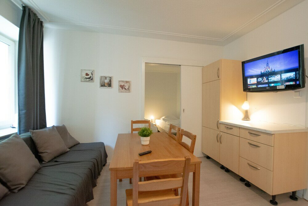 Фото Comfortable Large Center Apartment